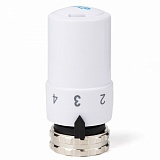 Термоголовка жидкостная DAP (M30X1,5), /100/